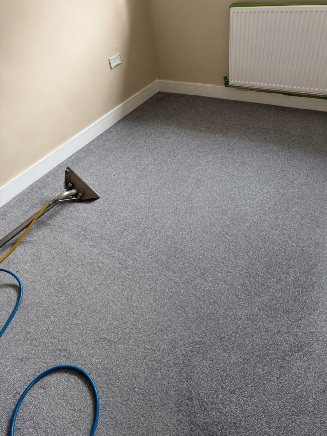 Friendly cleaning team refreshing a family living room