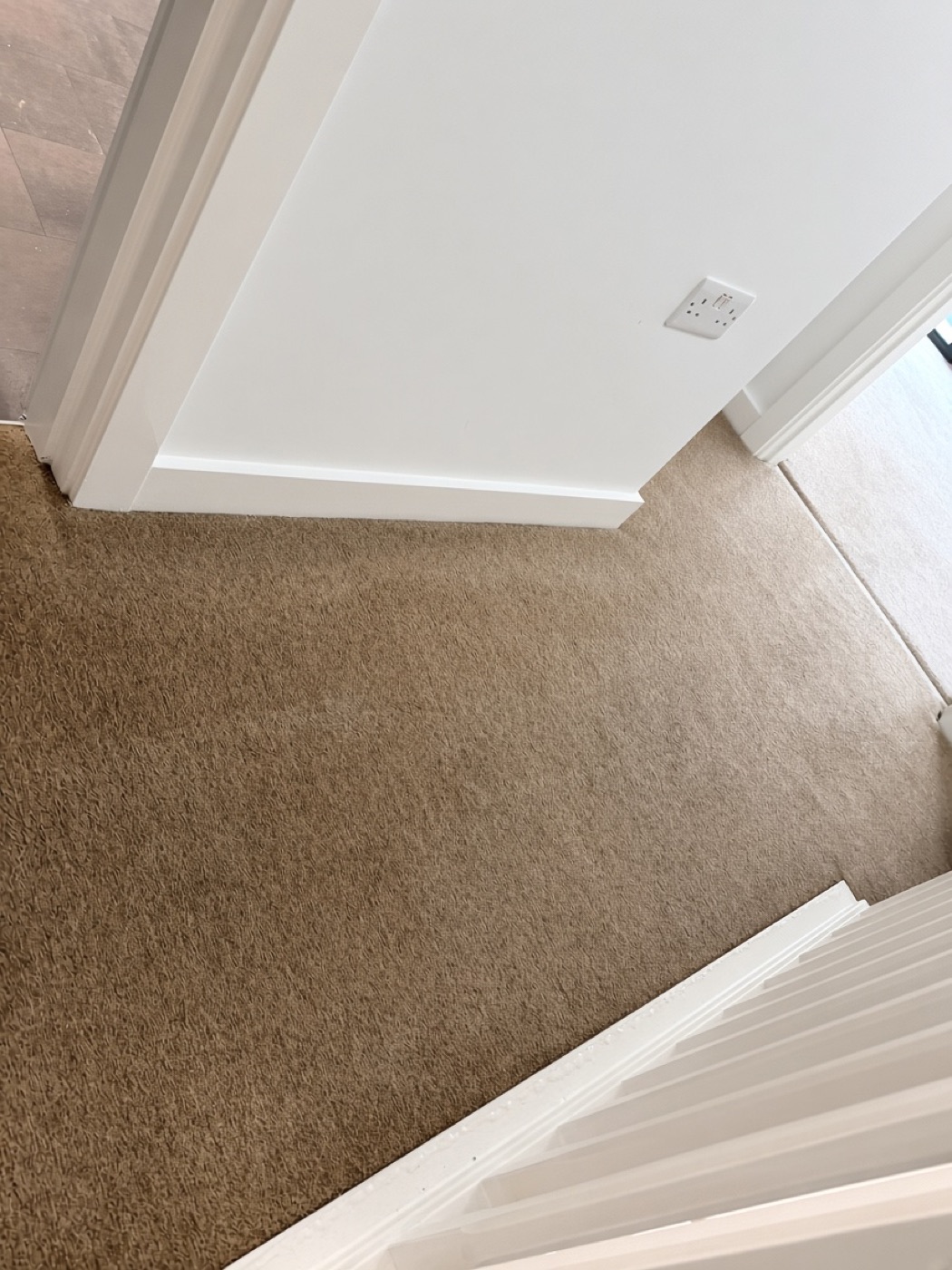 Professional steam cleaning a sofa and living room