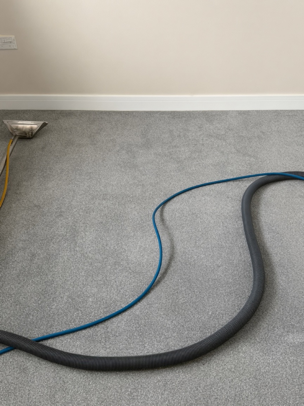 A family steam-cleaning a rug — safe for children and pets